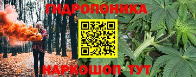 СК Ипатово