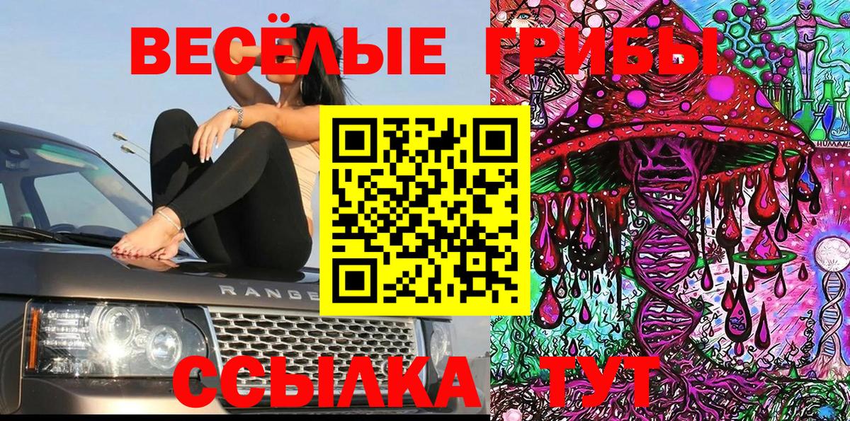 сколько стоит  Вход с VPN  Жуковский  Псилоцибиновые грибы Psilocybe 